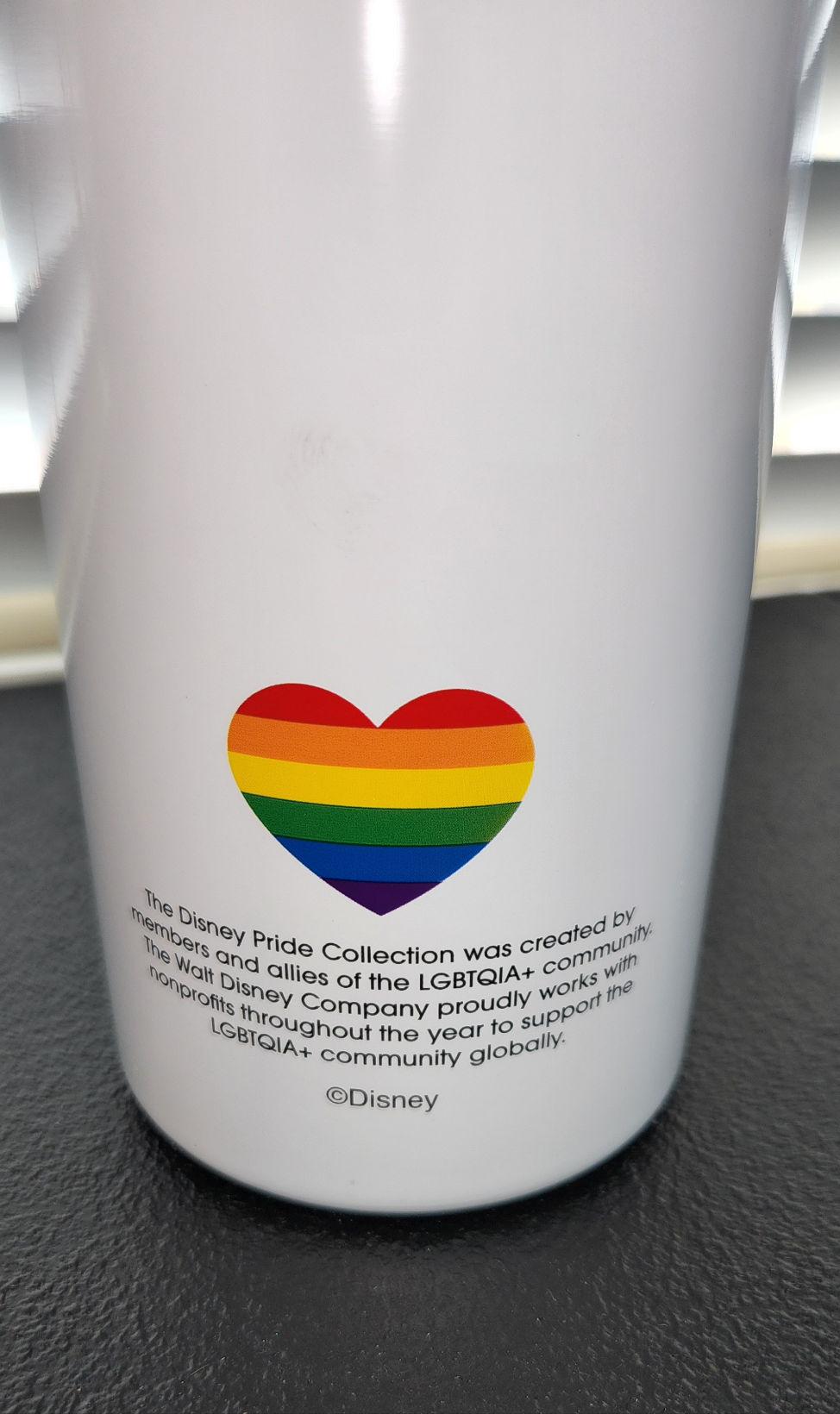 Pride Collection Metal Water Bottle