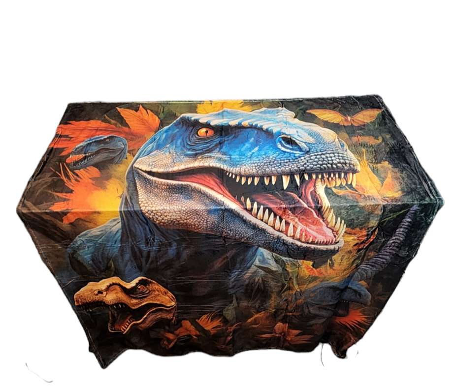 Soft Dinosaur Blanket