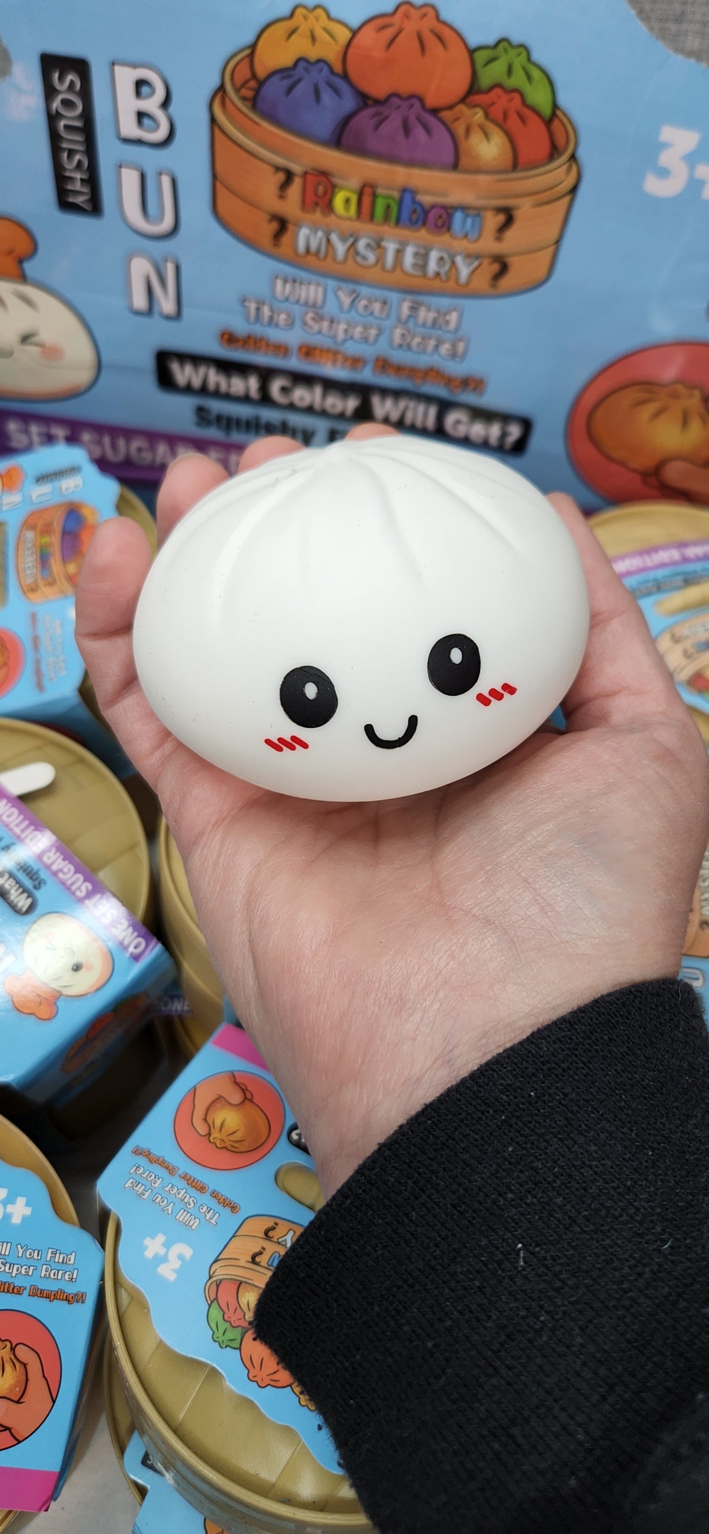 Mystery Squishy Bun Dumpling