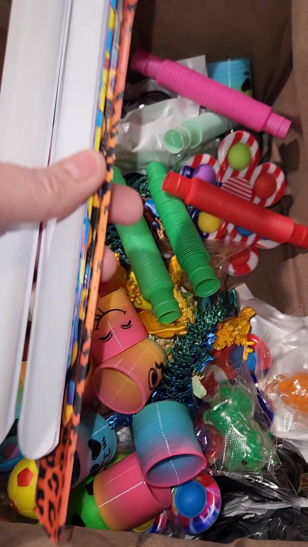 Fidget Blind Bags (10)